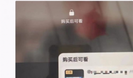 短视频内容付费,内容付费引领新潮流